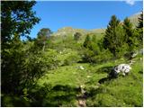 Planina Kuhinja - Planica below Krn